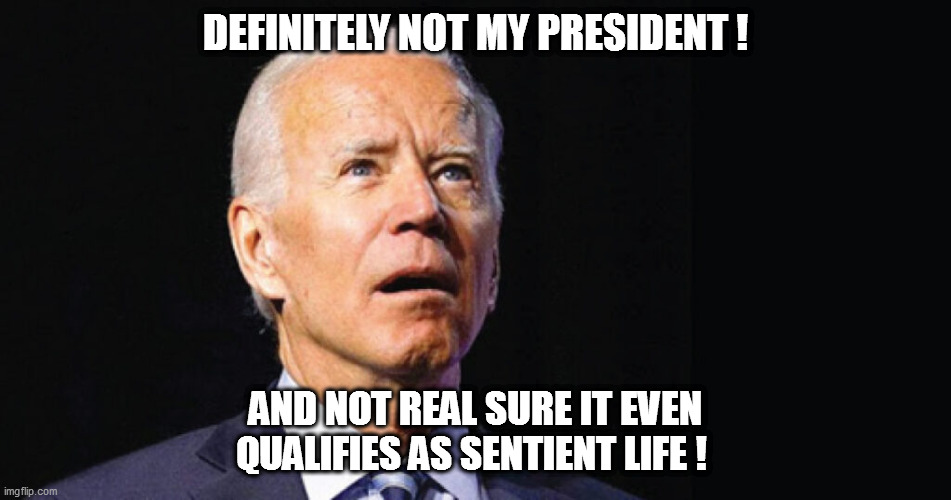 No wonder leftist 'tards love it so...birds of a feather flock together! | DEFINITELY NOT MY PRESIDENT ! AND NOT REAL SURE IT EVEN QUALIFIES AS SENTIENT LIFE ! | image tagged in biden,libtardation | made w/ Imgflip meme maker