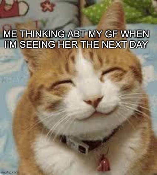 This was me while I was making this | ME THINKING ABT MY GF WHEN I’M SEEING HER THE NEXT DAY | image tagged in happy cat,lesbian | made w/ Imgflip meme maker