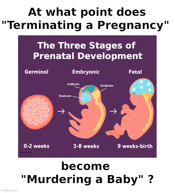 At what point does "Terminating a Pregnancy" become "Murdering a Baby" ? | image tagged in pregnancy,terminator,abortion,baby,murder | made w/ Imgflip meme maker