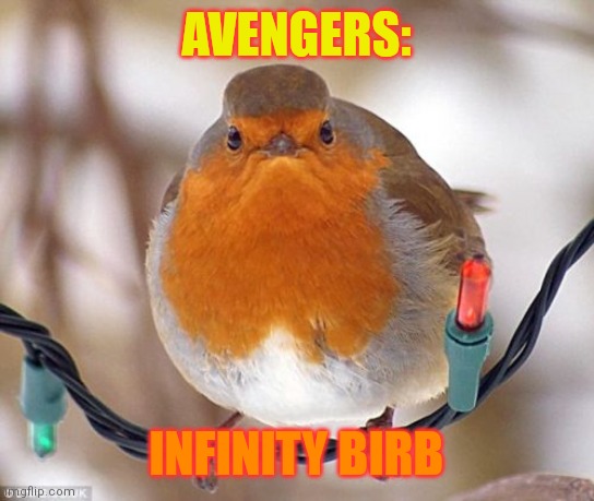 Now THAT'S What I Call An Avengers-Level Birb! | AVENGERS:; INFINITY BIRB | image tagged in memes,bah humbug,simothefinlandized,avengers,bird | made w/ Imgflip meme maker