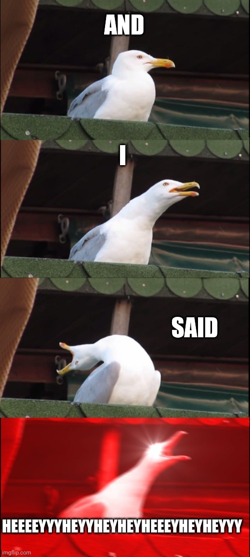 Inhaling Seagull | AND; I; SAID; HEEEEYYYHEYYHEYHEYHEEEYHEYHEYYY | image tagged in memes,inhaling seagull | made w/ Imgflip meme maker