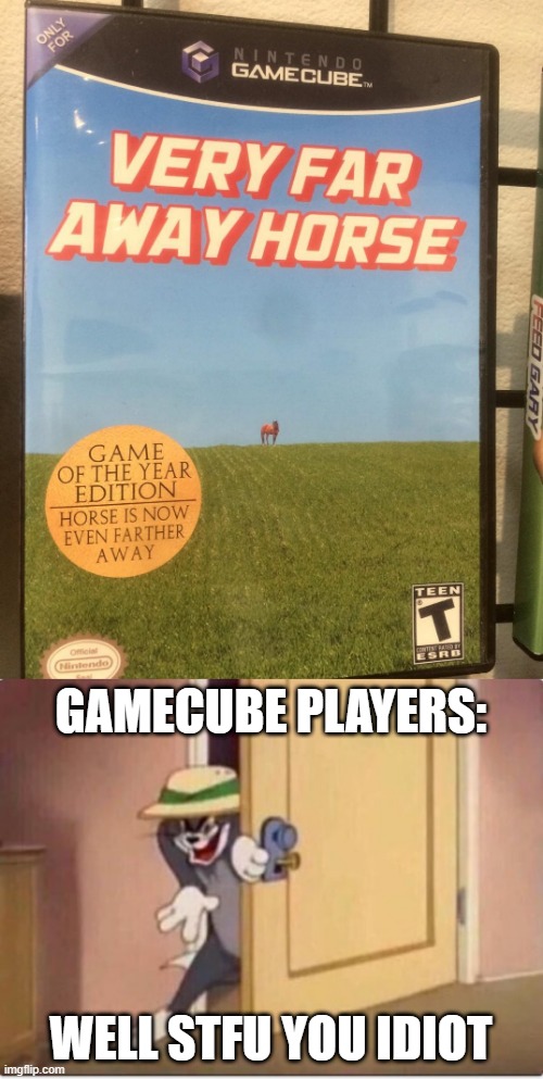 i hate this game also | GAMECUBE PLAYERS:; WELL STFU YOU IDIOT | image tagged in tom sneaking in a room,by,gamecube,steps | made w/ Imgflip meme maker
