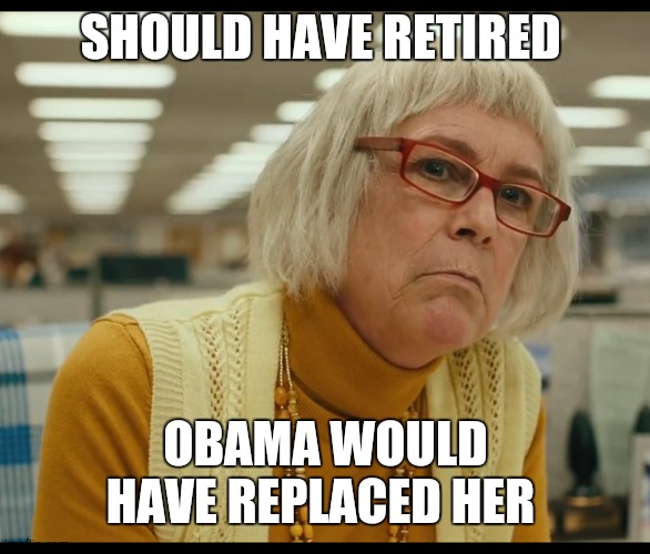 Auditor Bitch | SHOULD HAVE RETIRED OBAMA WOULD HAVE REPLACED HER | image tagged in auditor bitch | made w/ Imgflip meme maker