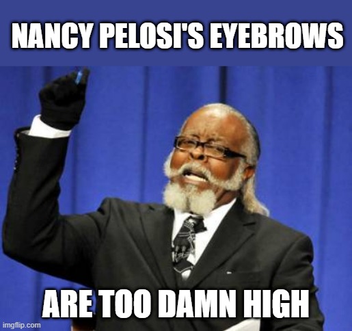 Too Damn High | NANCY PELOSI'S EYEBROWS; ARE TOO DAMN HIGH | image tagged in memes,too damn high | made w/ Imgflip meme maker