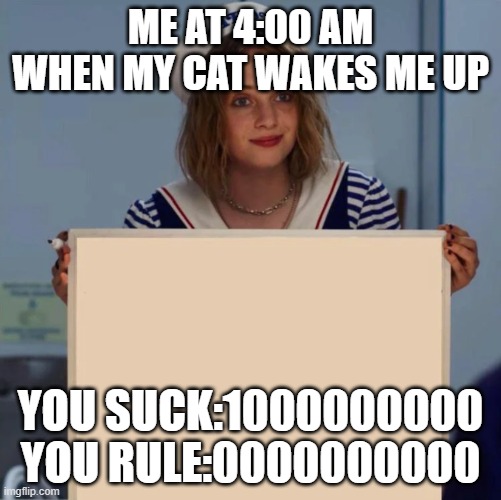 Cats waking me up at 3:00am | ME AT 4:00 AM WHEN MY CAT WAKES ME UP; YOU SUCK:1000000000 YOU RULE:0000000000 | image tagged in robin stranger things meme | made w/ Imgflip meme maker