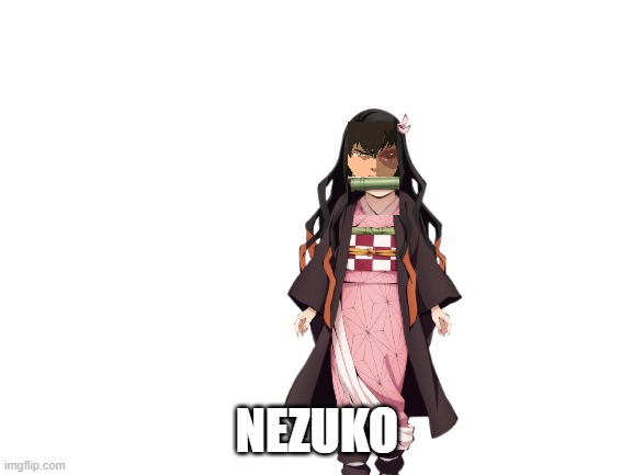i dont know why i made this but | NEZUKO | image tagged in funny | made w/ Imgflip meme maker