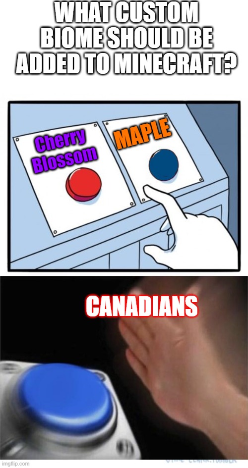 two buttons 1 blue | WHAT CUSTOM BIOME SHOULD BE ADDED TO MINECRAFT? MAPLE; Cherry Blossom; CANADIANS | image tagged in two buttons 1 blue | made w/ Imgflip meme maker