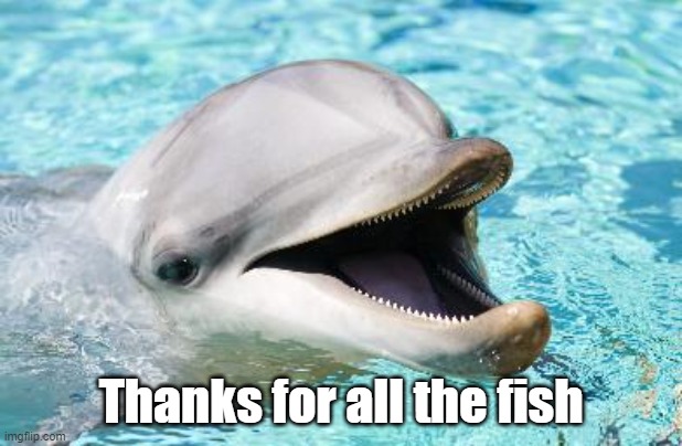 Dumb Joke Dolphin | Thanks for all the fish | image tagged in dumb joke dolphin | made w/ Imgflip meme maker