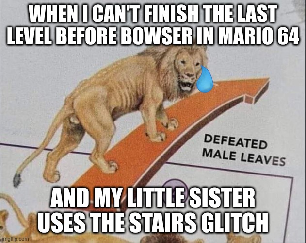 Mario 64 be like | WHEN I CAN'T FINISH THE LAST LEVEL BEFORE BOWSER IN MARIO 64; AND MY LITTLE SISTER USES THE STAIRS GLITCH | image tagged in defeated male leaves,bruh,mario | made w/ Imgflip meme maker