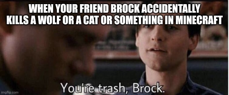 Spider-Man 3 trash brock | WHEN YOUR FRIEND BROCK ACCIDENTALLY KILLS A WOLF OR A CAT OR SOMETHING IN MINECRAFT | image tagged in spider-man 3 trash brock | made w/ Imgflip meme maker