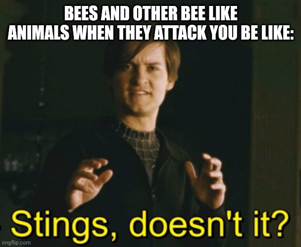 Stings, doesn’t it? | BEES AND OTHER BEE LIKE ANIMALS WHEN THEY ATTACK YOU BE LIKE: | image tagged in stings doesn t it | made w/ Imgflip meme maker