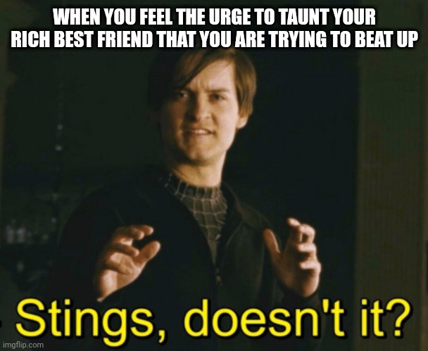 Stings, doesn’t it? | WHEN YOU FEEL THE URGE TO TAUNT YOUR RICH BEST FRIEND THAT YOU ARE TRYING TO BEAT UP | image tagged in stings doesn t it | made w/ Imgflip meme maker