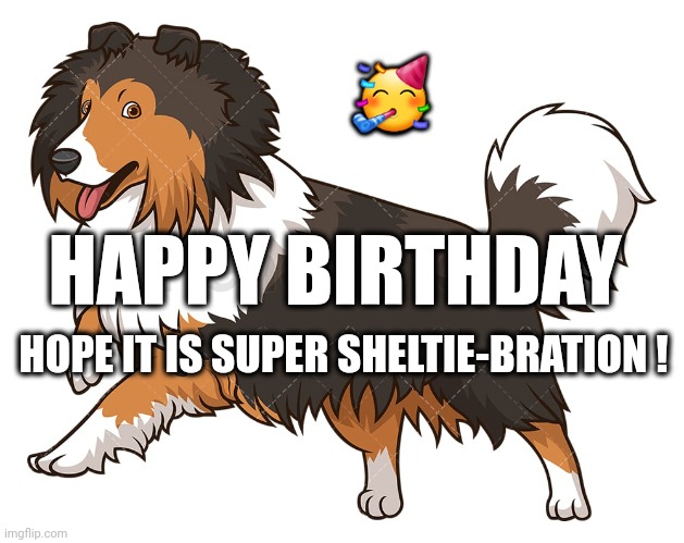 Happy Sheltie Birthday |  🥳; HAPPY BIRTHDAY; HOPE IT IS SUPER SHELTIE-BRATION ! | image tagged in sheltie,birthday,celebration | made w/ Imgflip meme maker