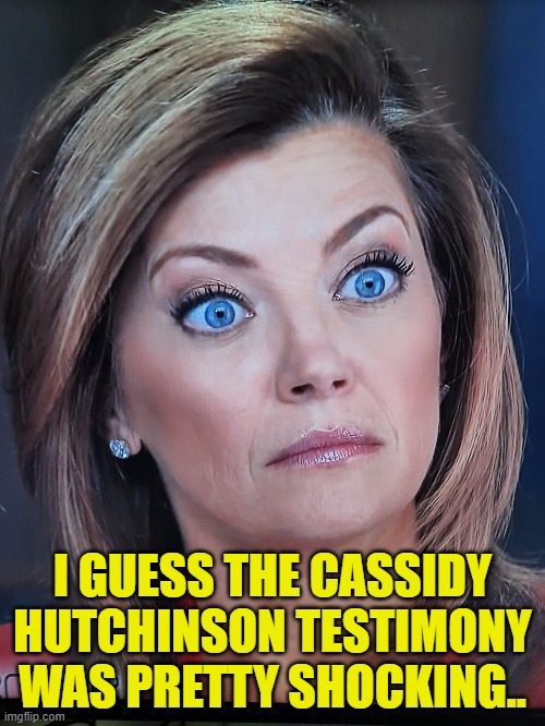 Nora | I GUESS THE CASSIDY HUTCHINSON TESTIMONY WAS PRETTY SHOCKING.. | image tagged in cassidy hutchinson | made w/ Imgflip meme maker