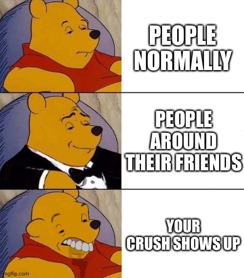 I can somewhat relate | PEOPLE NORMALLY; PEOPLE AROUND THEIR FRIENDS; YOUR CRUSH SHOWS UP | image tagged in best better blurst | made w/ Imgflip meme maker