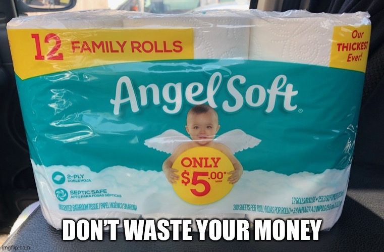 Toilet paper | DON’T WASTE YOUR MONEY | image tagged in toilet paper | made w/ Imgflip meme maker