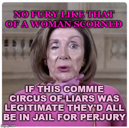 NO FURY LIKE THAT OF A WOMAN SCORNED; IF THIS COMMIE CIRCUS OF LIARS WAS LEGITIMATE THEY'D ALL BE IN JAIL FOR PERJURY | made w/ Imgflip meme maker