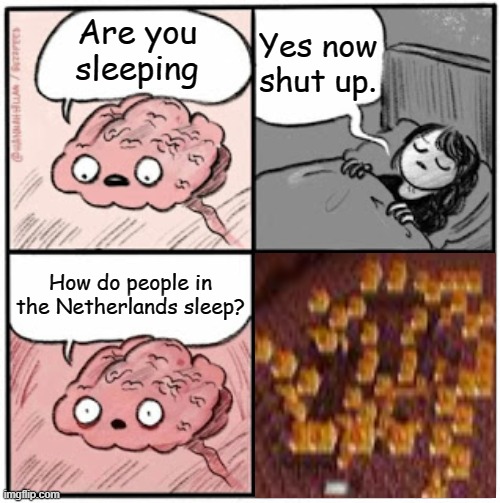 How??? | Yes now shut up. Are you sleeping; How do people in the Netherlands sleep? | image tagged in brain before sleep | made w/ Imgflip meme maker