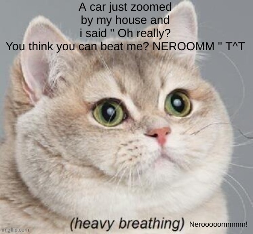 heh- |  A car just zoomed by my house and i said " Oh really? You think you can beat me? NEROOMM " T^T; Nerooooommmm! | image tagged in memes,heavy breathing cat | made w/ Imgflip meme maker