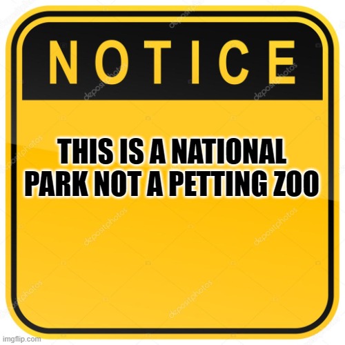 Notice Sign | THIS IS A NATIONAL PARK NOT A PETTING ZOO | image tagged in notice sign | made w/ Imgflip meme maker