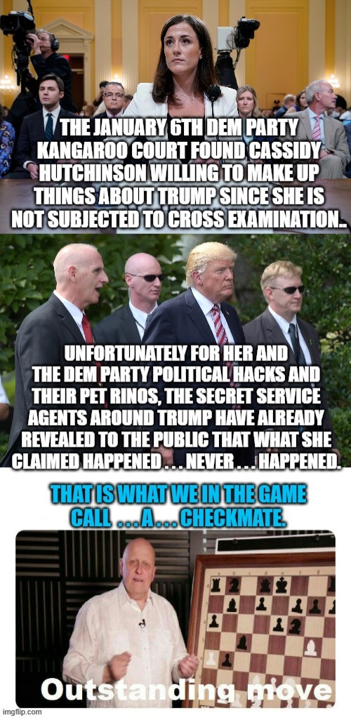 it's almost as if the Dem Party political hacks and their RINO allies are no longer even trying. | image tagged in lying witnesses | made w/ Imgflip meme maker