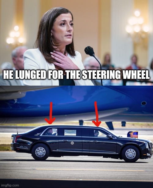 HE LUNGED FOR THE STEERING WHEEL | made w/ Imgflip meme maker