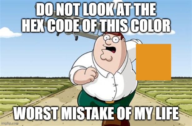 Worst mistake of my life |  DO NOT LOOK AT THE HEX CODE OF THIS COLOR; WORST MISTAKE OF MY LIFE | image tagged in worst mistake of my life | made w/ Imgflip meme maker