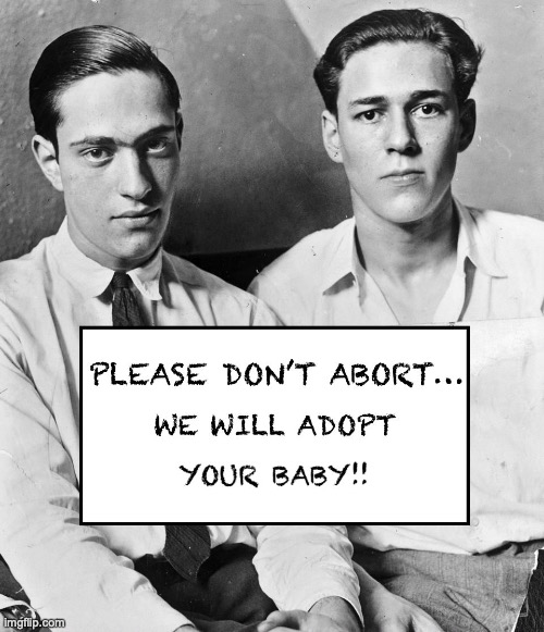 Leopold and Loeb Adopt! | image tagged in adoption,pro choice,roe v wade,white people,abortion,dark humor | made w/ Imgflip meme maker
