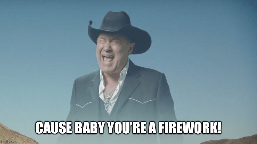 Screaming Cowboy | CAUSE BABY YOU’RE A FIREWORK! | image tagged in screaming cowboy | made w/ Imgflip meme maker