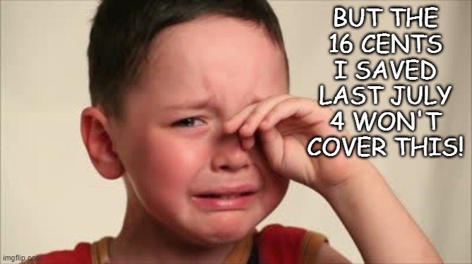 Crying kid | BUT THE 16 CENTS I SAVED LAST JULY 4 WON'T COVER THIS! | image tagged in crying kid | made w/ Imgflip meme maker
