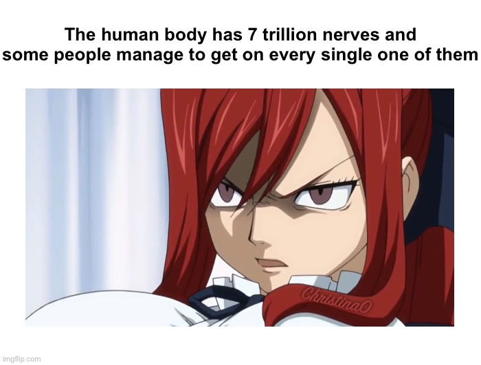 Fairy Tail Meme Nerves |  The human body has 7 trillion nerves and some people manage to get on every single one of them; ChristinaO | image tagged in fairy tail,fairy tail meme,erza scarlet,memes,anime,fairy tail memes | made w/ Imgflip meme maker