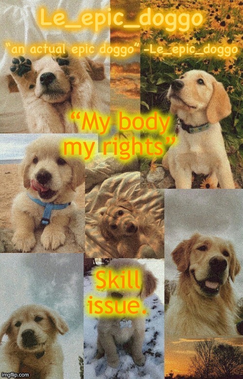 Doggo temp by doggo. Wait what that’s confusing | “My body my rights”; Skill issue. | image tagged in doggo temp by doggo wait what that s confusing | made w/ Imgflip meme maker