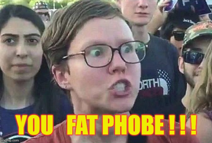 Triggered Liberal | YOU   FAT PHOBE ! ! ! | image tagged in triggered liberal | made w/ Imgflip meme maker
