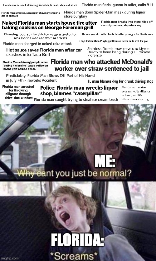 ME:; FLORIDA: | image tagged in why can't you just be normal,florida man,florida,meanwhile in florida,internal screaming,random tag | made w/ Imgflip meme maker