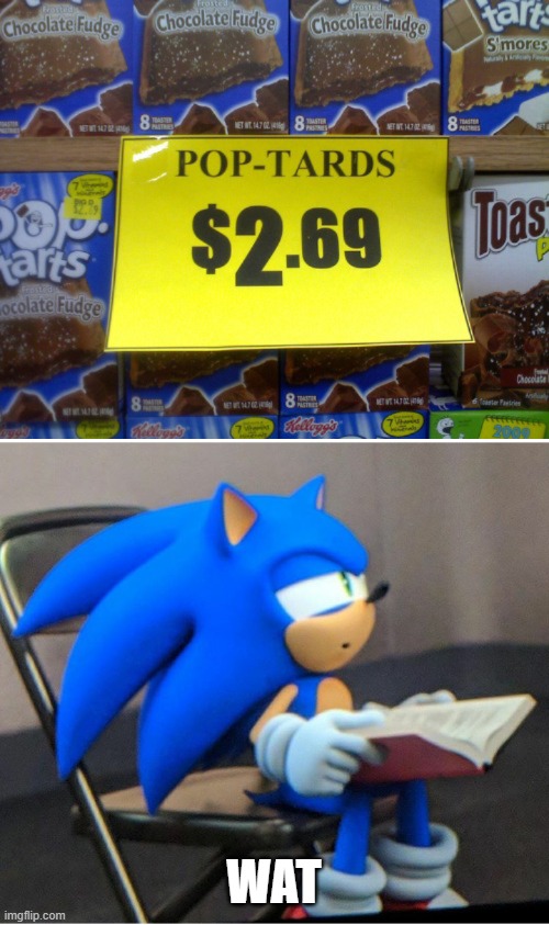 "tards" | WAT | image tagged in sonic | made w/ Imgflip meme maker