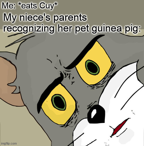 Is this too dark? | Me: *eats Cuy*; My niece's parents recognizing her pet guinea pig: | image tagged in memes,unsettled tom | made w/ Imgflip meme maker