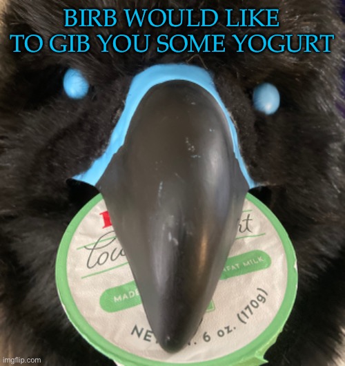 BIRB WOULD LIKE TO GIB YOU SOME YOGURT | image tagged in birb | made w/ Imgflip meme maker