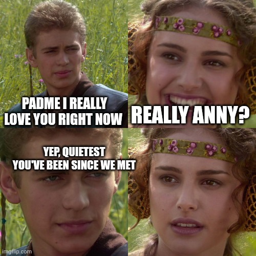 Anakin Padme 4 Panel | PADME I REALLY LOVE YOU RIGHT NOW; REALLY ANNY? YEP, QUIETEST YOU'VE BEEN SINCE WE MET | image tagged in anakin padme 4 panel | made w/ Imgflip meme maker