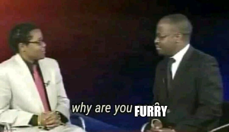 Why are you gay? | FURRY | image tagged in why are you gay | made w/ Imgflip meme maker