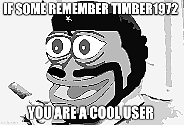 Tommy Guevara | IF SOME REMEMBER TIMBER1972; YOU ARE A COOL USER | image tagged in tommy guevara | made w/ Imgflip meme maker