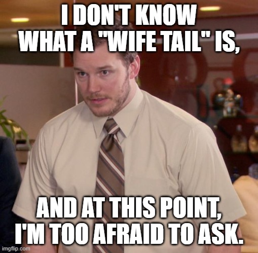 Afraid To Ask Andy Meme | I DON'T KNOW WHAT A "WIFE TAIL" IS, AND AT THIS POINT, I'M TOO AFRAID TO ASK. | image tagged in memes,afraid to ask andy | made w/ Imgflip meme maker