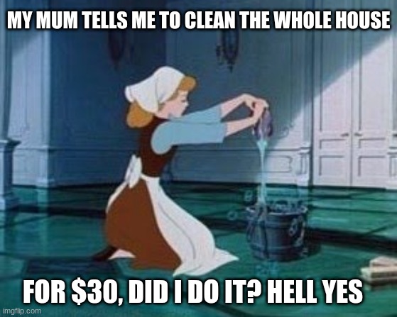 Cinderella Cleaning | MY MUM TELLS ME TO CLEAN THE WHOLE HOUSE; FOR $30, DID I DO IT? HELL YES | image tagged in cinderella cleaning | made w/ Imgflip meme maker