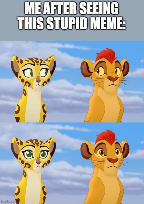 Kion and Fuli Side-eye | ME AFTER SEEING THIS STUPID MEME: | image tagged in kion and fuli side-eye | made w/ Imgflip meme maker