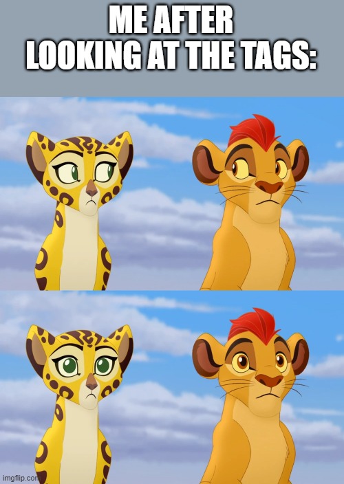 Kion and Fuli Side-eye | ME AFTER LOOKING AT THE TAGS: | image tagged in kion and fuli side-eye | made w/ Imgflip meme maker