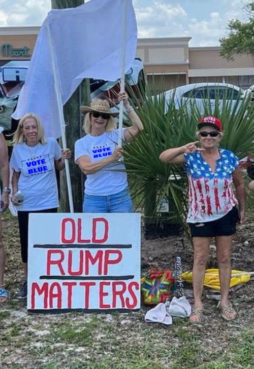 I like big butts and I can not lie | image tagged in all lives matter,clown car republicans,vote blue,old rump matters,asses,butts | made w/ Imgflip meme maker