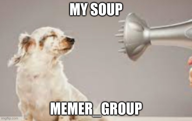 grooming | MY SOUP; MEMER_GROUP | image tagged in grooming | made w/ Imgflip meme maker