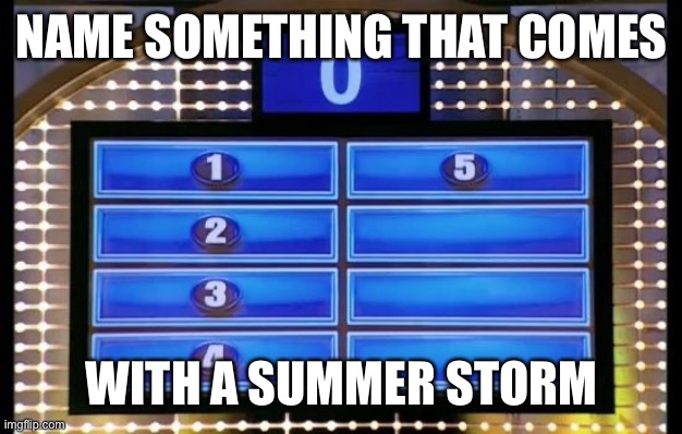 family feud | NAME SOMETHING THAT COMES; WITH A SUMMER STORM | image tagged in family feud | made w/ Imgflip meme maker