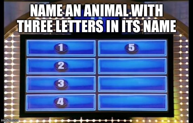family feud | NAME AN ANIMAL WITH THREE LETTERS IN ITS NAME | image tagged in family feud | made w/ Imgflip meme maker