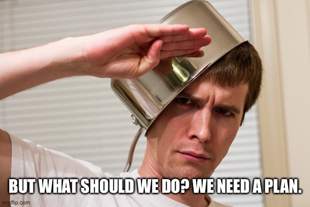 sir yes sir | BUT WHAT SHOULD WE DO? WE NEED A PLAN. | image tagged in sir yes sir | made w/ Imgflip meme maker