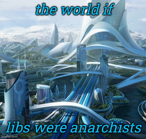 The world if | the world if libs were anarchists | image tagged in the world if | made w/ Imgflip meme maker